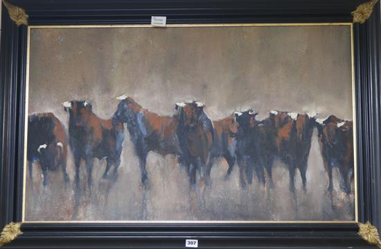 Zil Hoque, oil on board, bulls in a field, 54 x 88cm